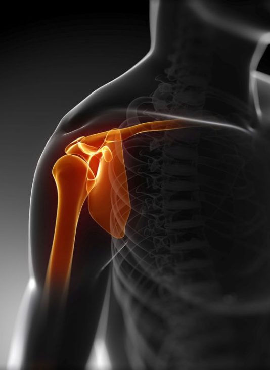 Shoulder-1024x768 (1)